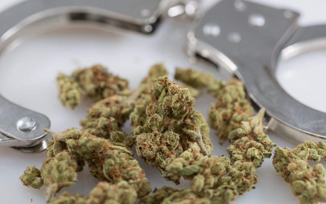Marijuana criminal defense