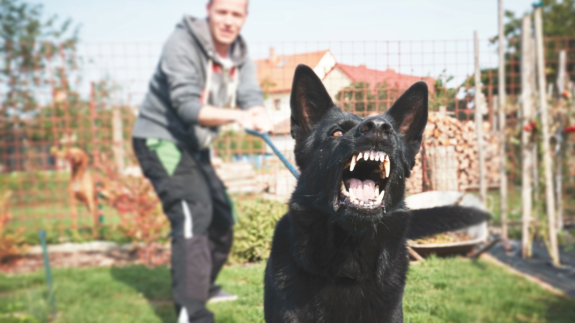 6 Common Types Of Personal Injury Cases 6 Common Types Of Personal Injury Cases